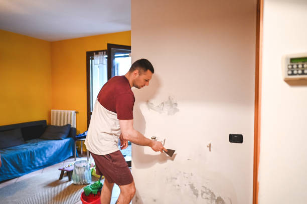 Best Emergency Mold Removal  in Eagle Lake, WI